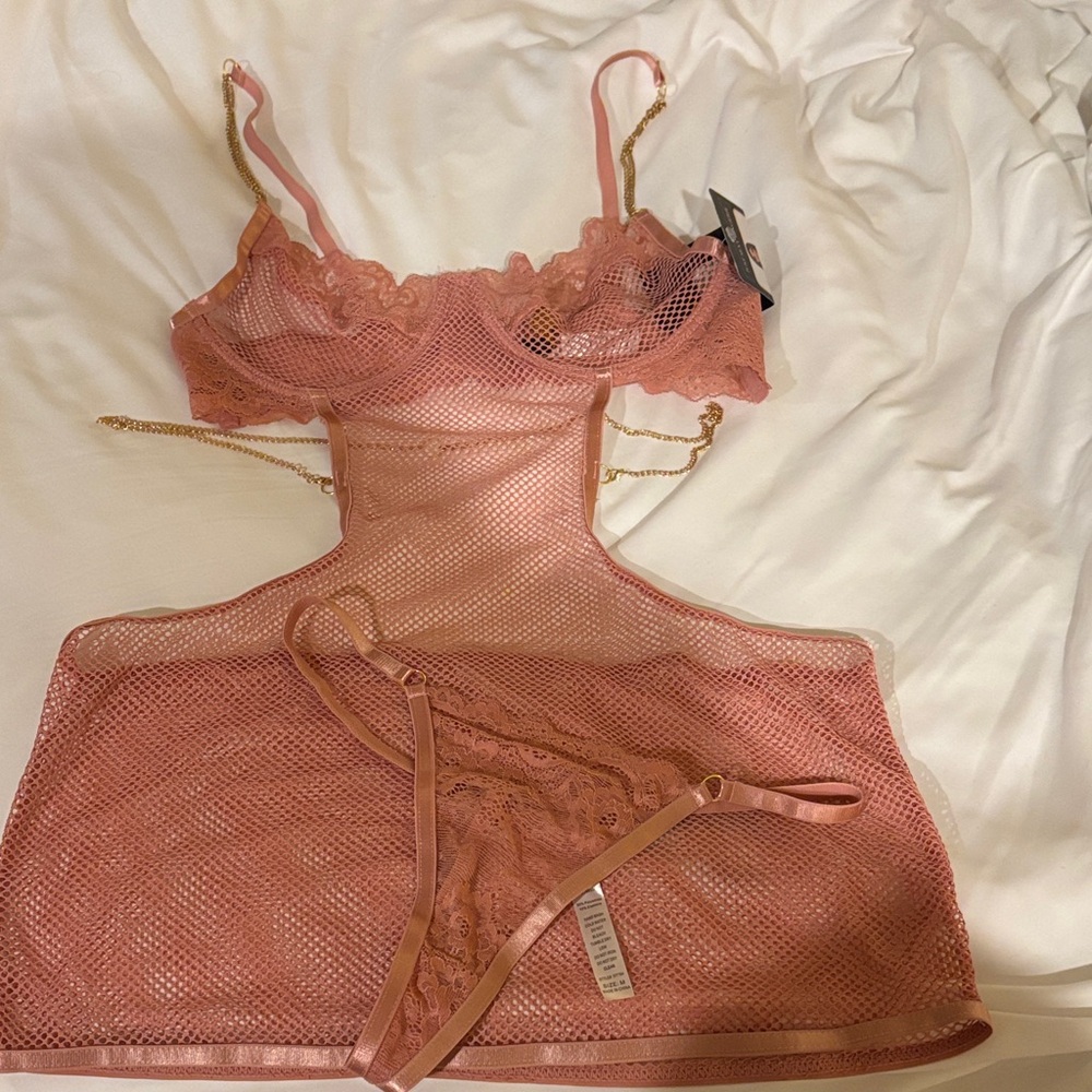 Chic Lace Mesh Chemise in Blush